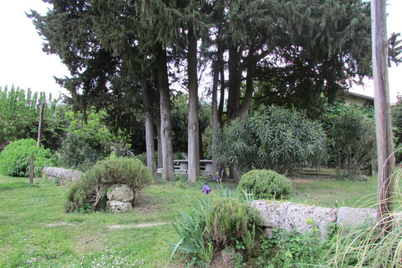 Agriturismo "Borgo Madonna Degli Angeli" - Charming Cottages In The Gardens ! Tocco da Casauria Exterior foto