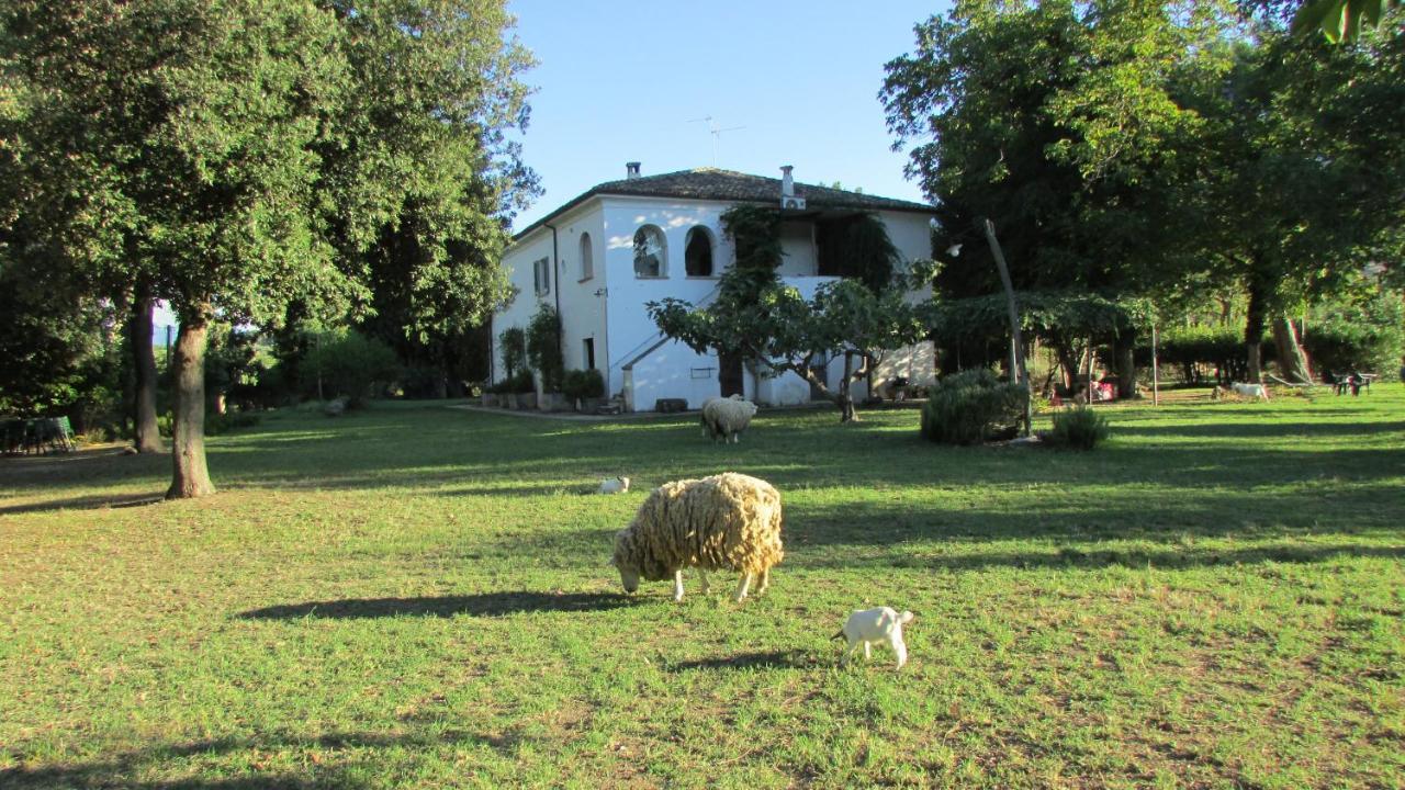 Agriturismo "Borgo Madonna Degli Angeli" - Charming Cottages In The Gardens ! Tocco da Casauria Exterior foto
