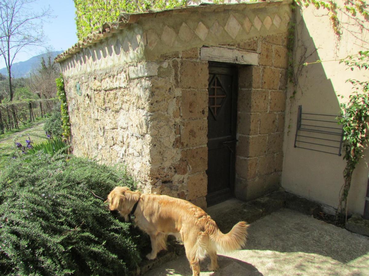 Agriturismo "Borgo Madonna Degli Angeli" - Charming Cottages In The Gardens ! Tocco da Casauria Exterior foto