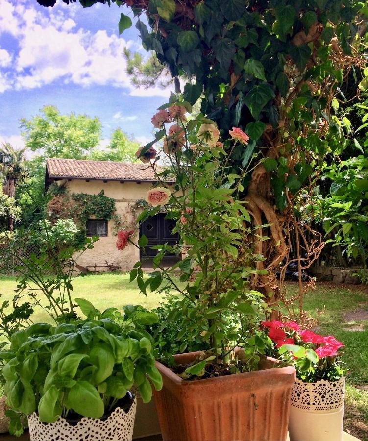Agriturismo "Borgo Madonna Degli Angeli" - Charming Cottages In The Gardens ! Tocco da Casauria Exterior foto